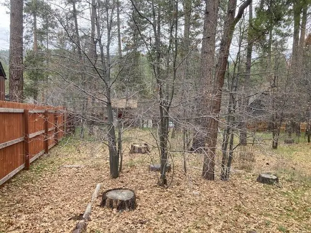 0 Country Club, Idyllwild, CA 92549 - Image #2