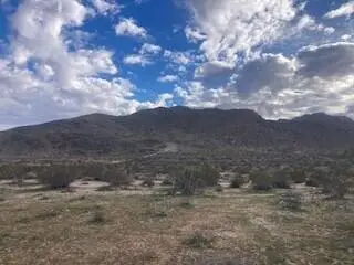 60876 Campanula Street, Joshua Tree, CA 92252 - Image #3