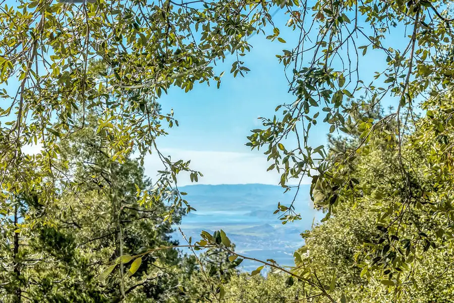 52365 Pine Ridge Road, Idyllwild, CA 92549 - #2