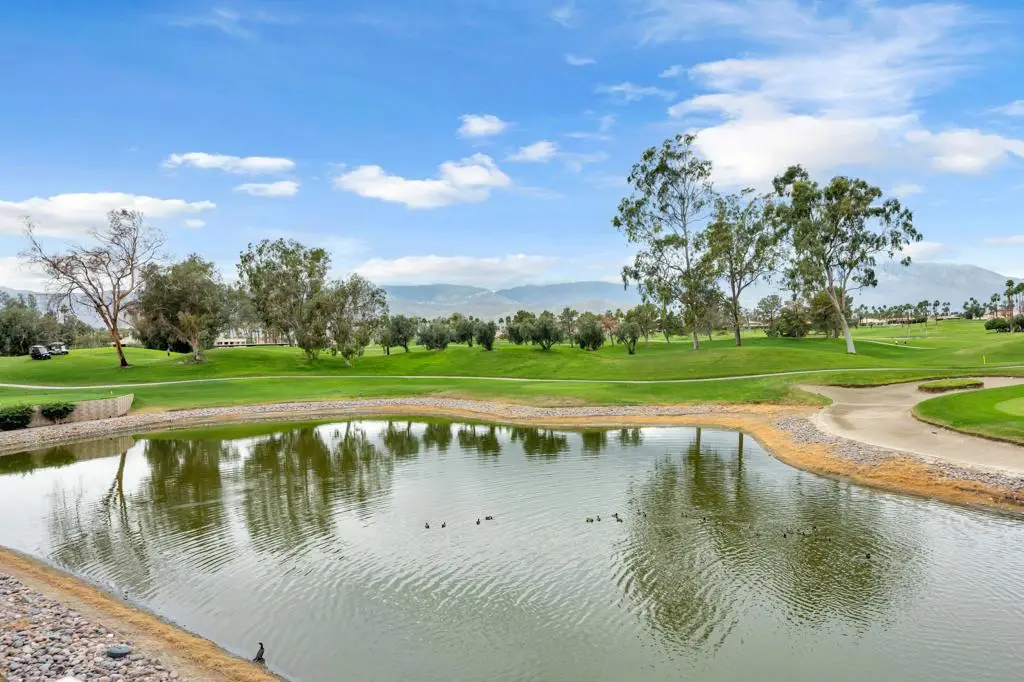 229 Desert Falls Drive E, Palm Desert, CA 92211 - #1