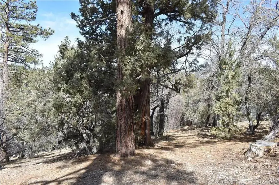 468 Inyo Avenue, Sugarloaf, CA 92386 - #2