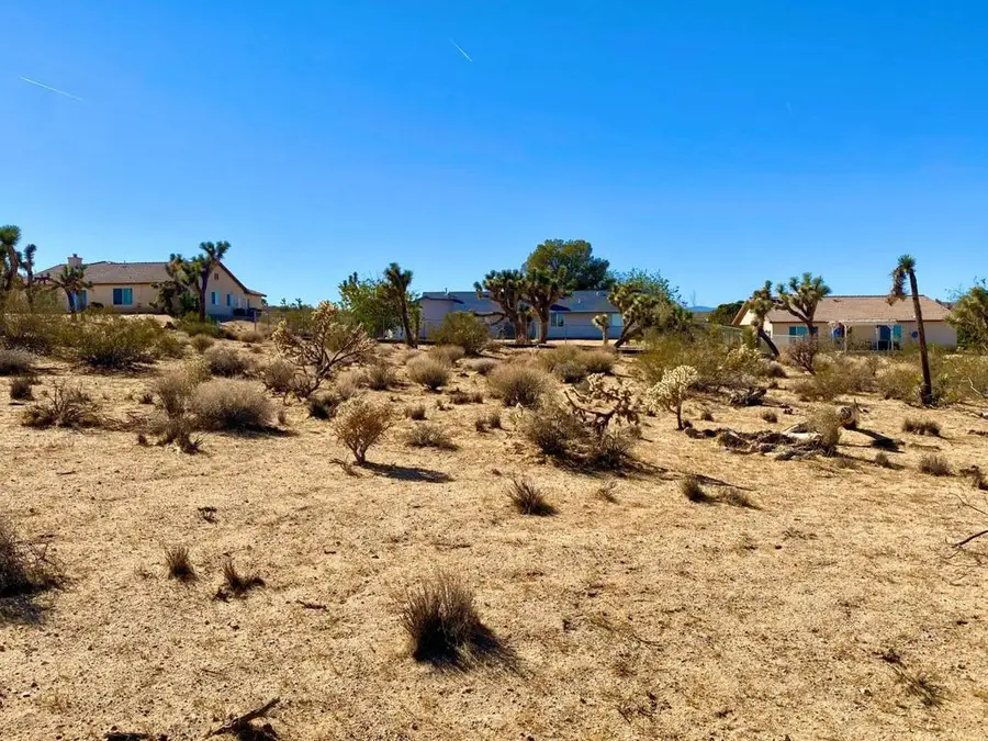 6672 San Angelo Avenue, Joshua Tree, CA 92252 - #2