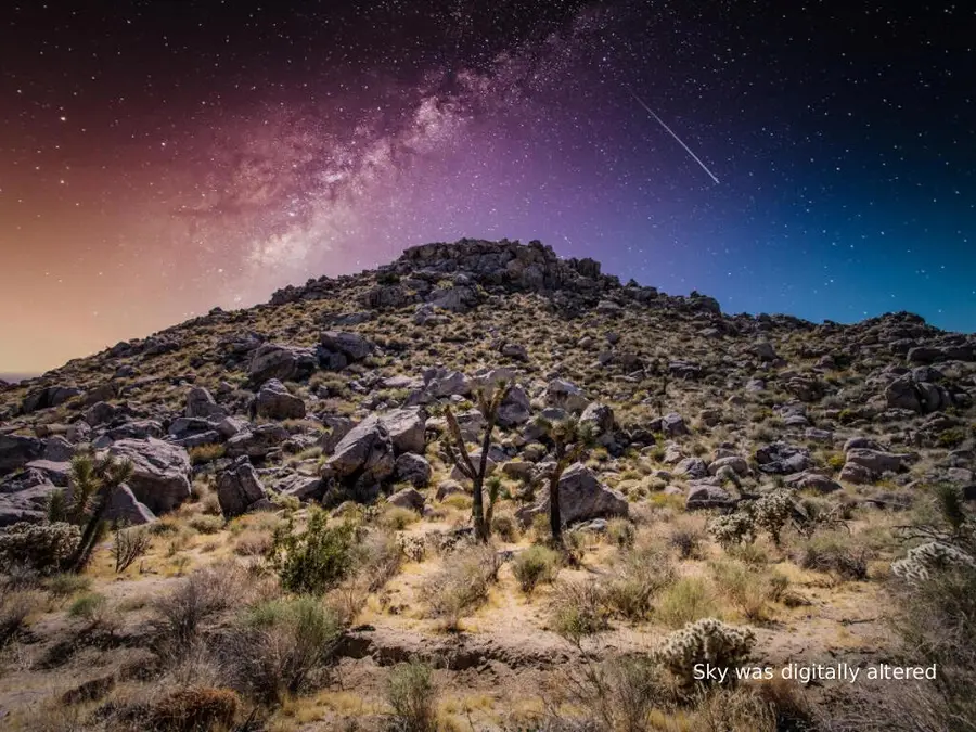 61093 Prescott Trail, Joshua Tree, CA 92252 - #3