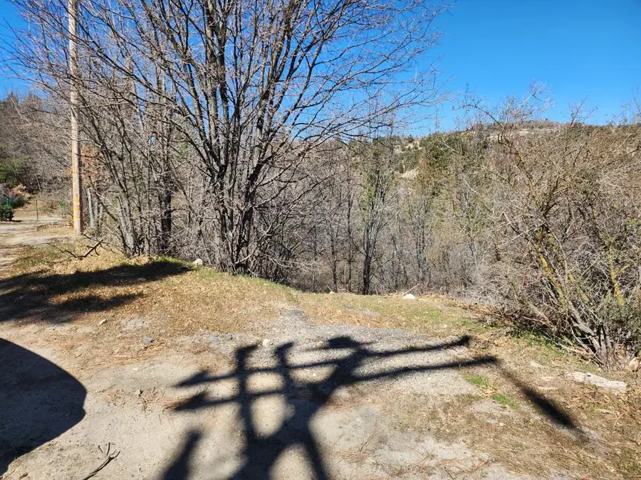 0 Elder Drive, Cedar Glen, CA 92321 - #2