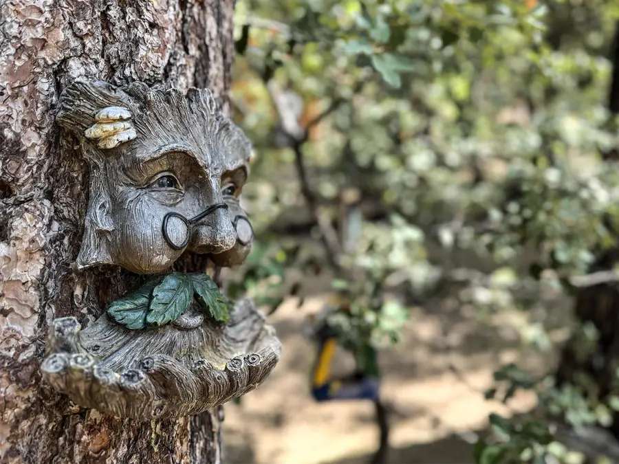 25840 Scenic Drive, Idyllwild, CA 92549 - #3