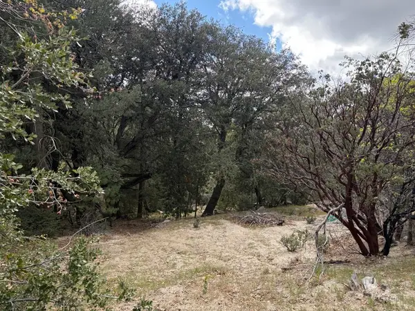 0 Schaffer Drive, Pine Cove, CA 92549