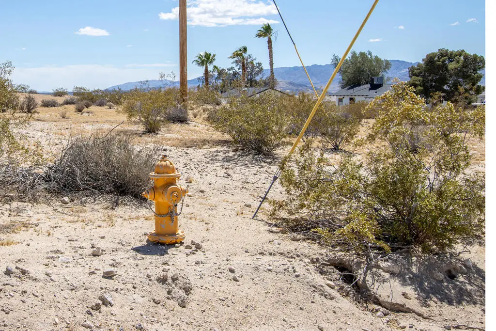 139 Rice Avenue, Joshua Tree, CA 92252 - #1