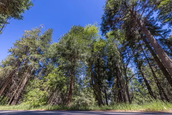 Lot 78 Cedar Pines Drive, Crestline, CA 92325