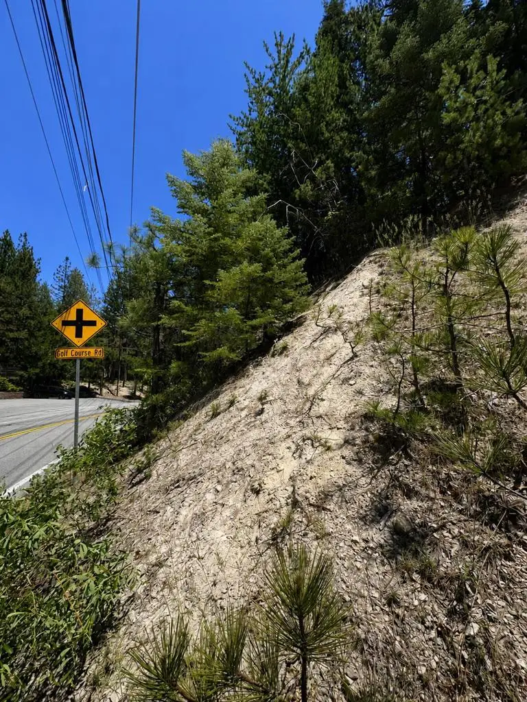 0 Grass Valley Road, Lake Arrowhead, CA 92352 - #2