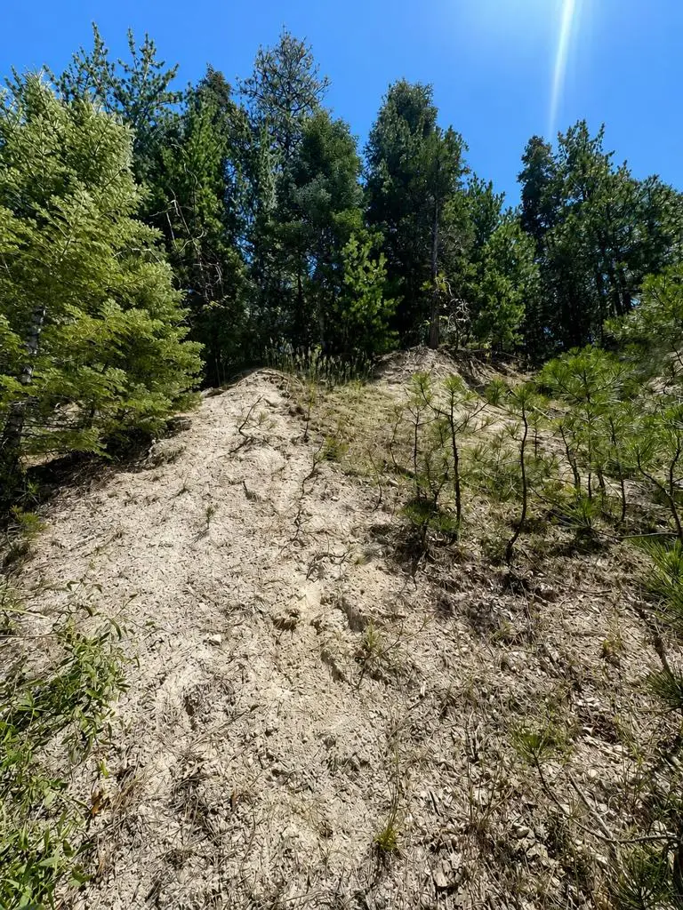 0 Grass Valley Road, Lake Arrowhead, CA 92352 - #3
