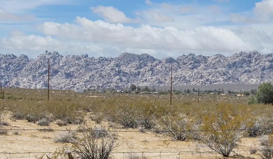 5316 Pearl Springs Avenue, Twentynine Palms, CA 92277 - #3