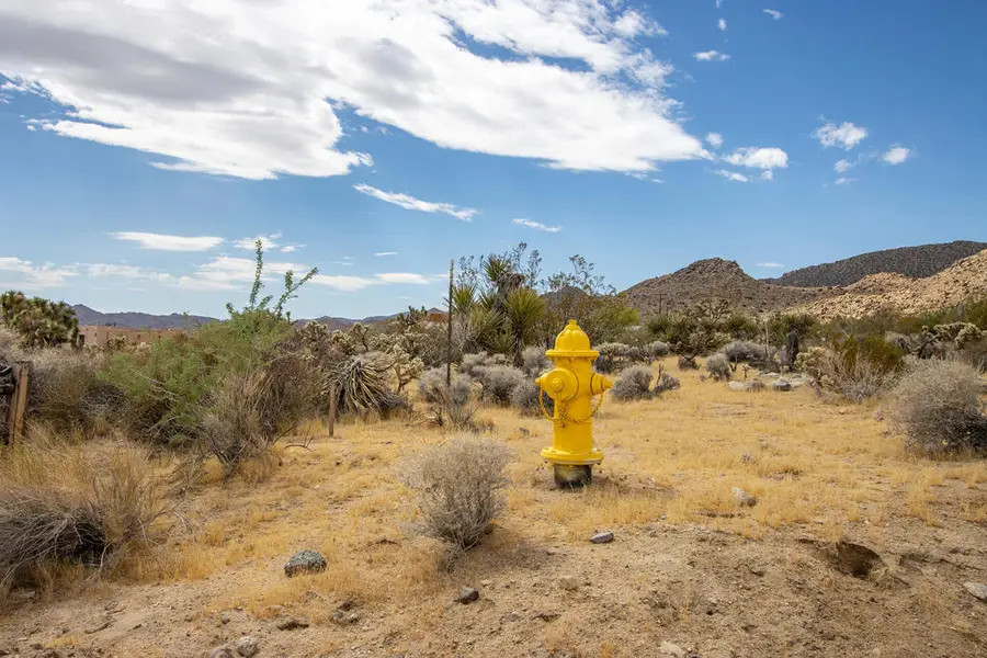 207 Onaga Trail, Joshua Tree, CA 92252 - #3