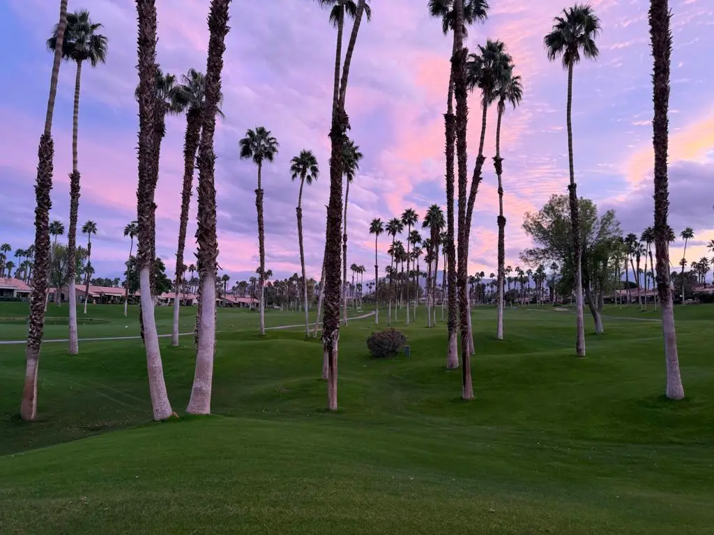 76037 Impatiens Circle, Palm Desert, CA 92211 - #1
