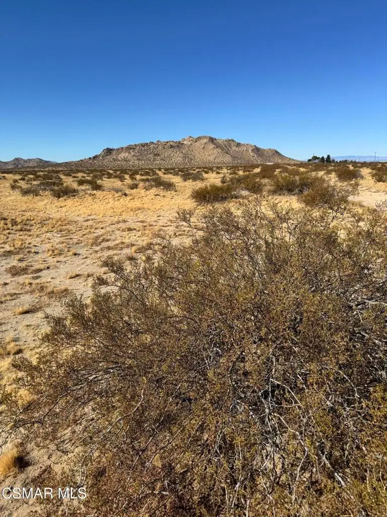 172 172nd Street E #6, Lake Los Angeles, CA 93535 - Image #2