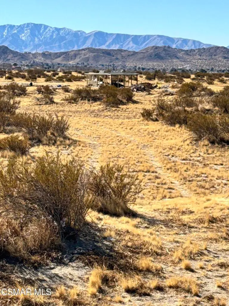 172 172nd Street E #6, Lake Los Angeles, CA 93535 - Image #3