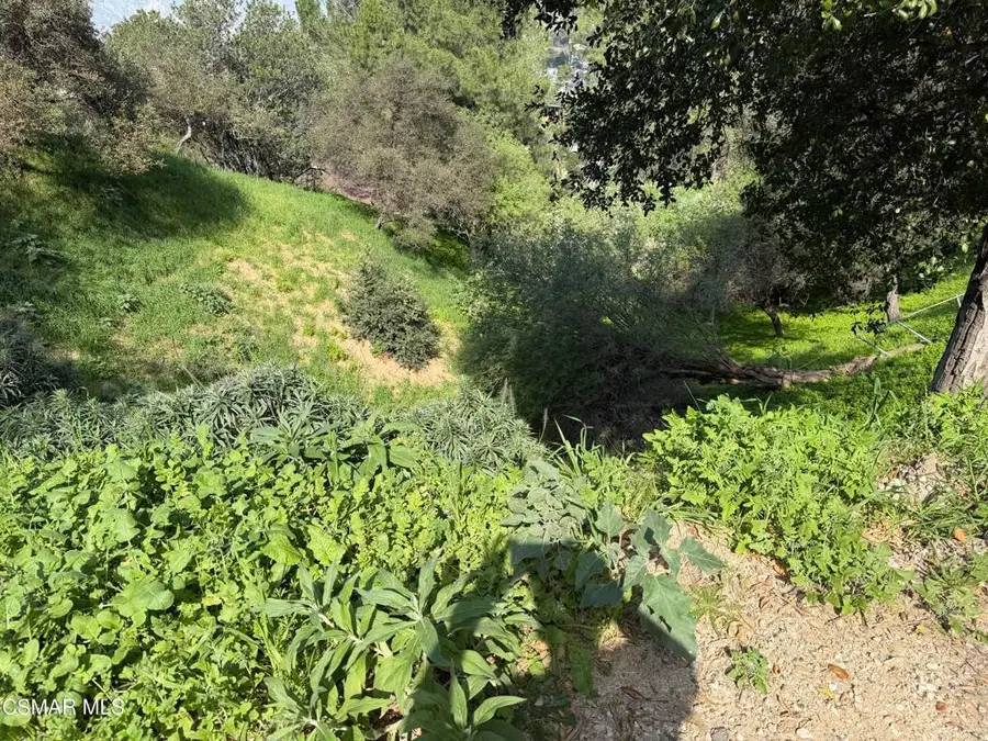 Flora Morgan Trail, Tujunga, CA 91042 - #3
