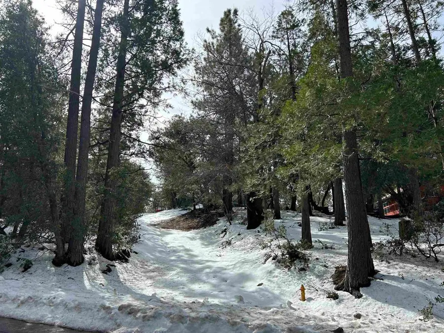 8 Saunders Meadow Rd, Idyllwild, CA 92549 - Image #3