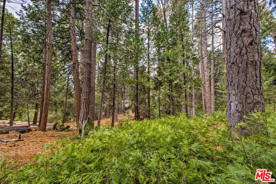 25450 Norwood Drive, Idyllwild, CA 92549 - #3