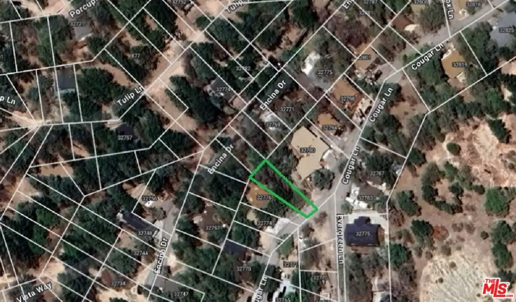 32780 Cougar Lane, Running Springs, CA 92382 - Image #1