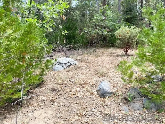 0 Laurel Trail Lot, Idyllwild, CA 92549 - Image #2