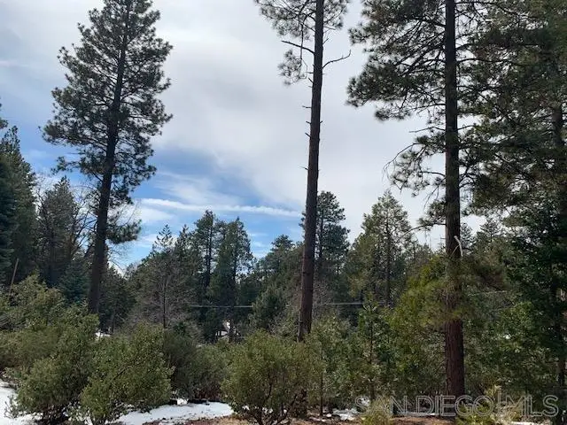 0 Laurel Trail Lot, Idyllwild, CA 92549 - Image #3