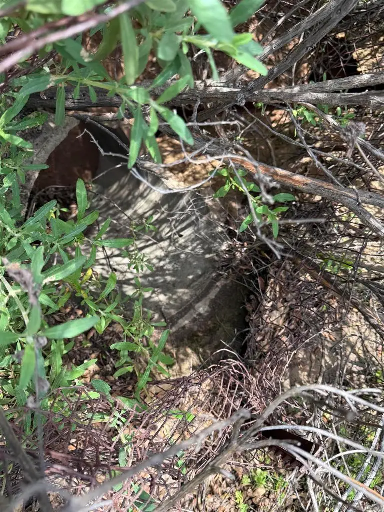 25111 N Centre City Pkwy, Escondido, CA 92026 - #2