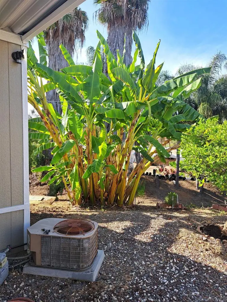 2907 S Santa Fe Ave #10, San Marcos, CA 92069 - #3