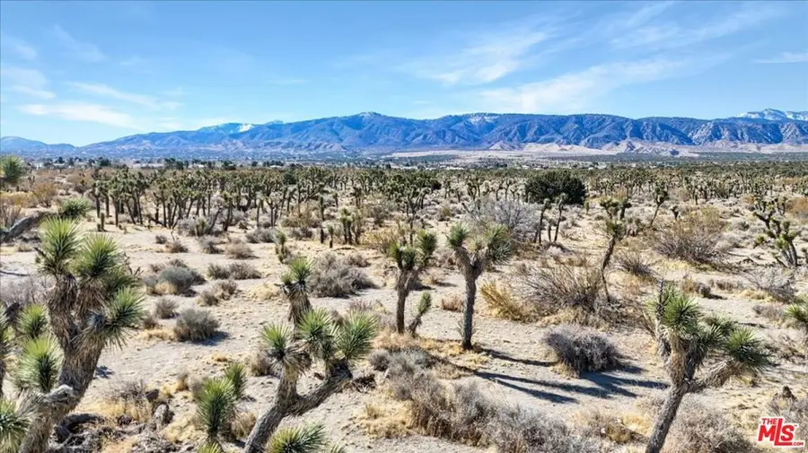 0 Vic, Pinon Hills, CA 92372 - #3