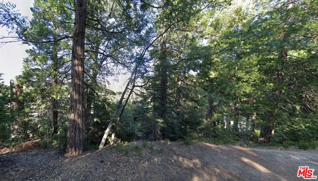 0 Ponderosa Drive, Cedar Glen, CA 92321 - Image #1