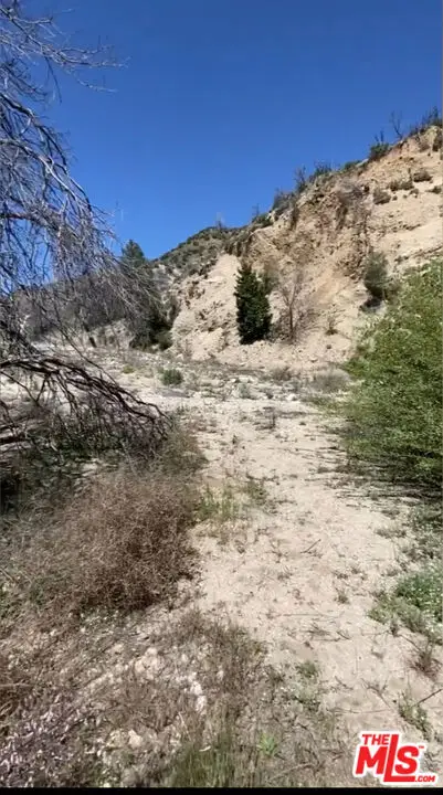 0 Pine Canyon Road, Lake Hughes, CA 93532 - Image #2