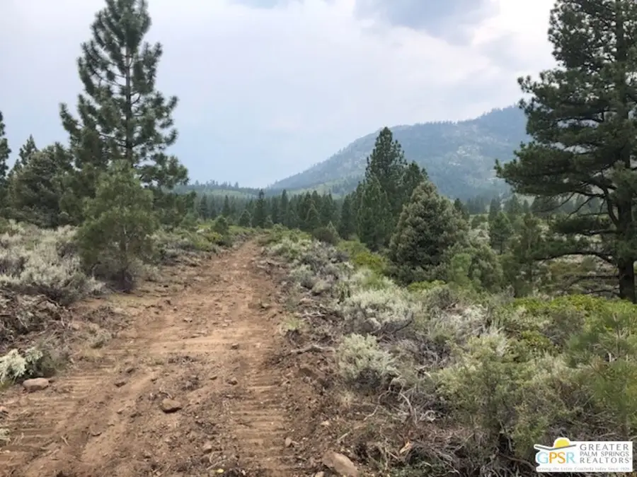 0 Ditch Road, Markleeville, CA 96120 - Image #3