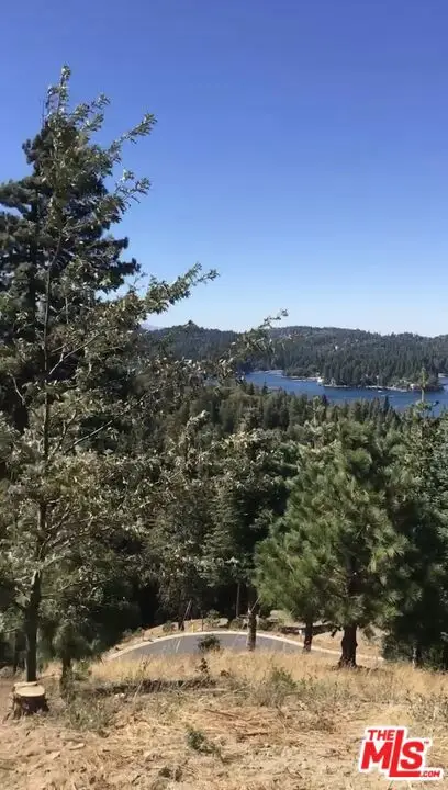 101 Mill Pond Road, Lake Arrowhead, CA 92352 - Image #3