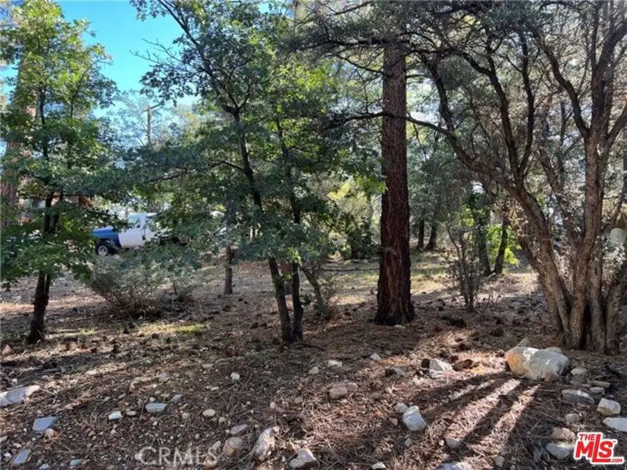 0 Kern Avenue, Sugarloaf, CA 92386 - Image #3