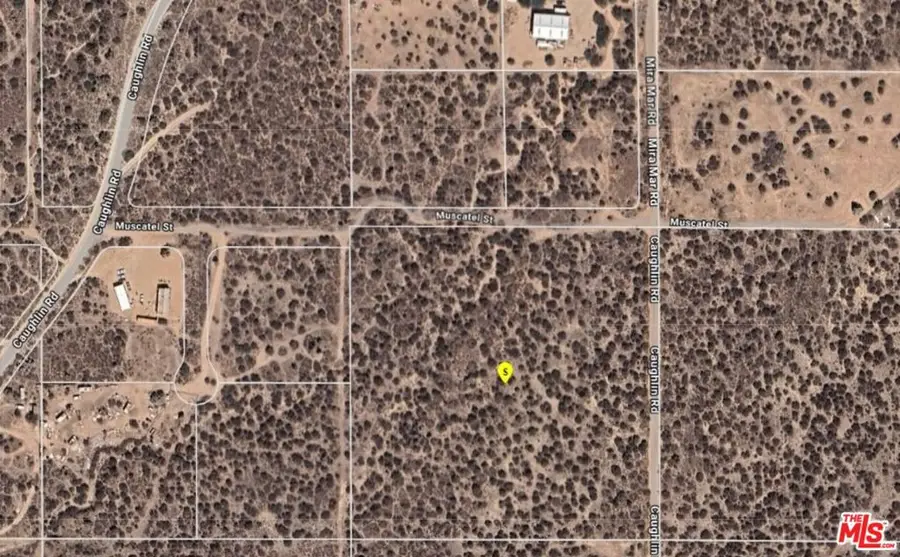 0 Caughlin Rd & Muscatel St, Phelan, CA 92371 - Image #3