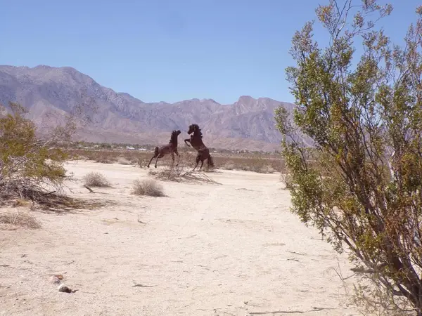 0 Borrego Valley Road, Borrego Springs, CA 92004