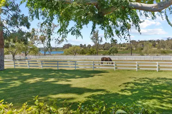 6685 & 6701 Lago Lindo, Rancho Santa Fe, CA 92067