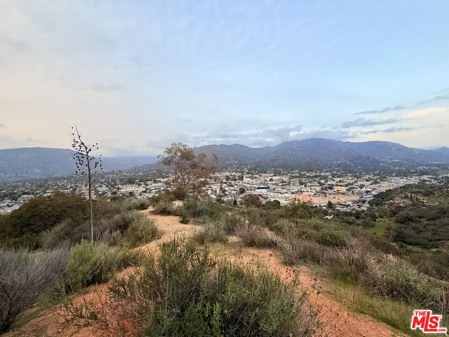 9735 N Estaban Way, Tujunga, CA 91042 - #2
