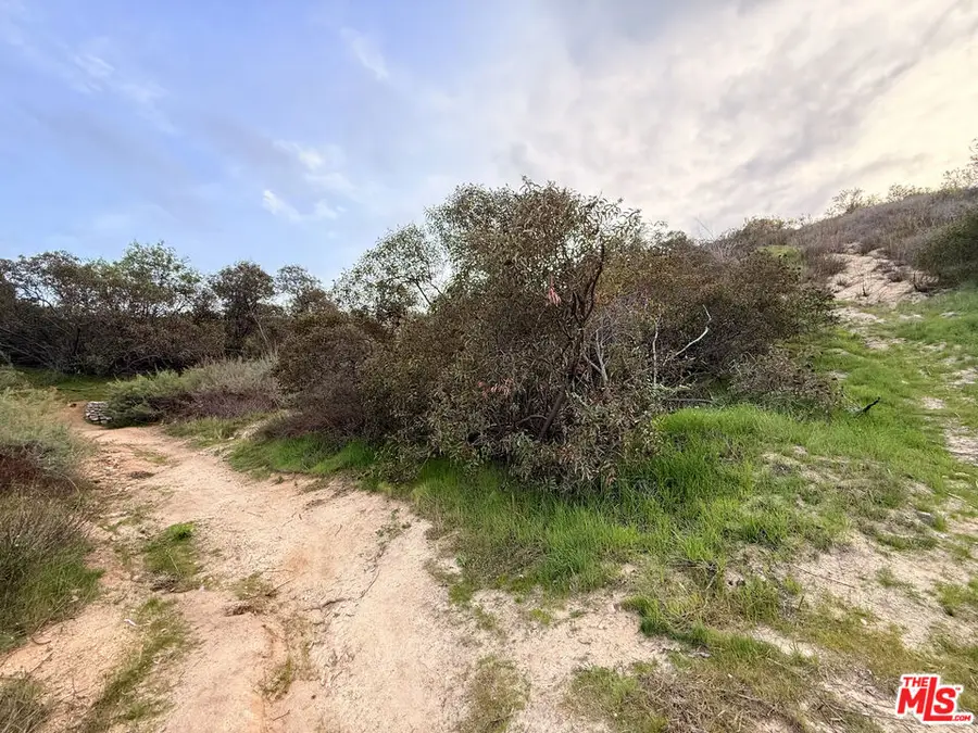 9749 N Estaban Way, Tujunga, CA 91042 - #2