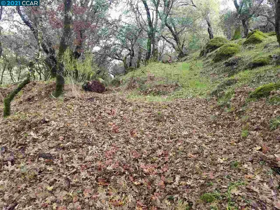 1424 1424 Rockville Rd, Fairfield, CA 94534 - #2