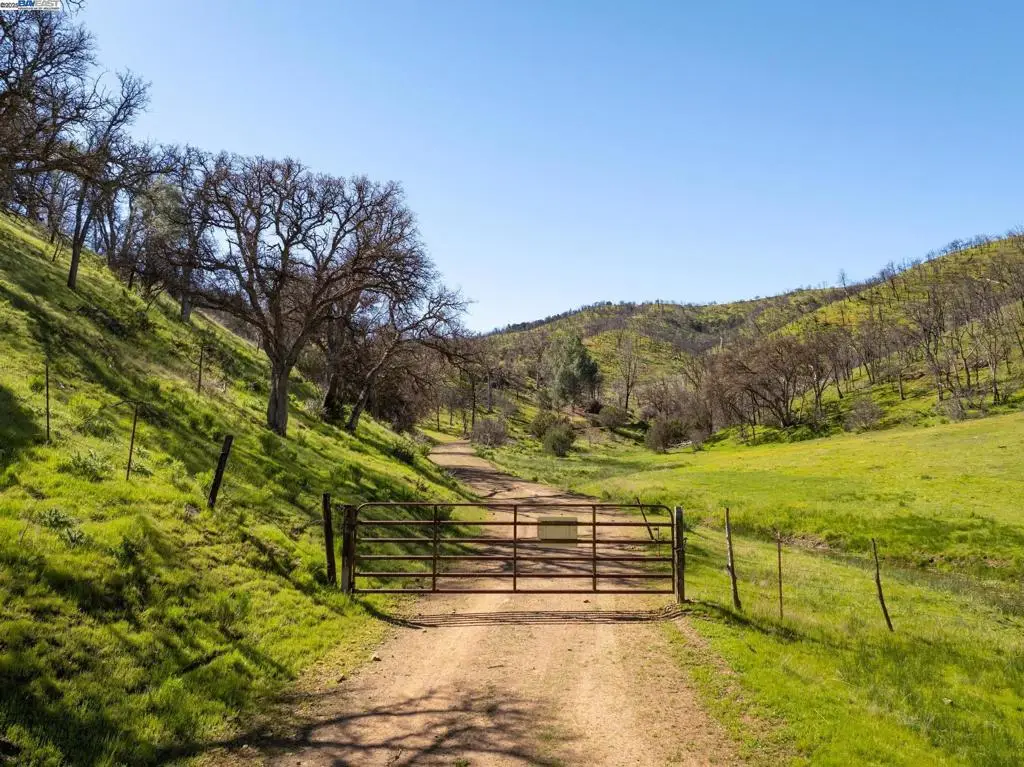 15676 W Corral Hollow Rd, Tracy, CA 95377 - Image #1