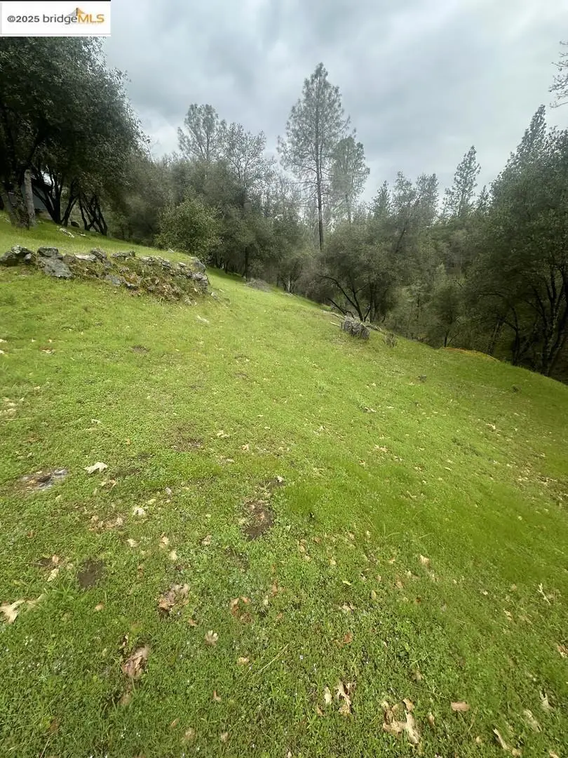 13095 Fox Ct, Groveland, CA 95321 - Image #3