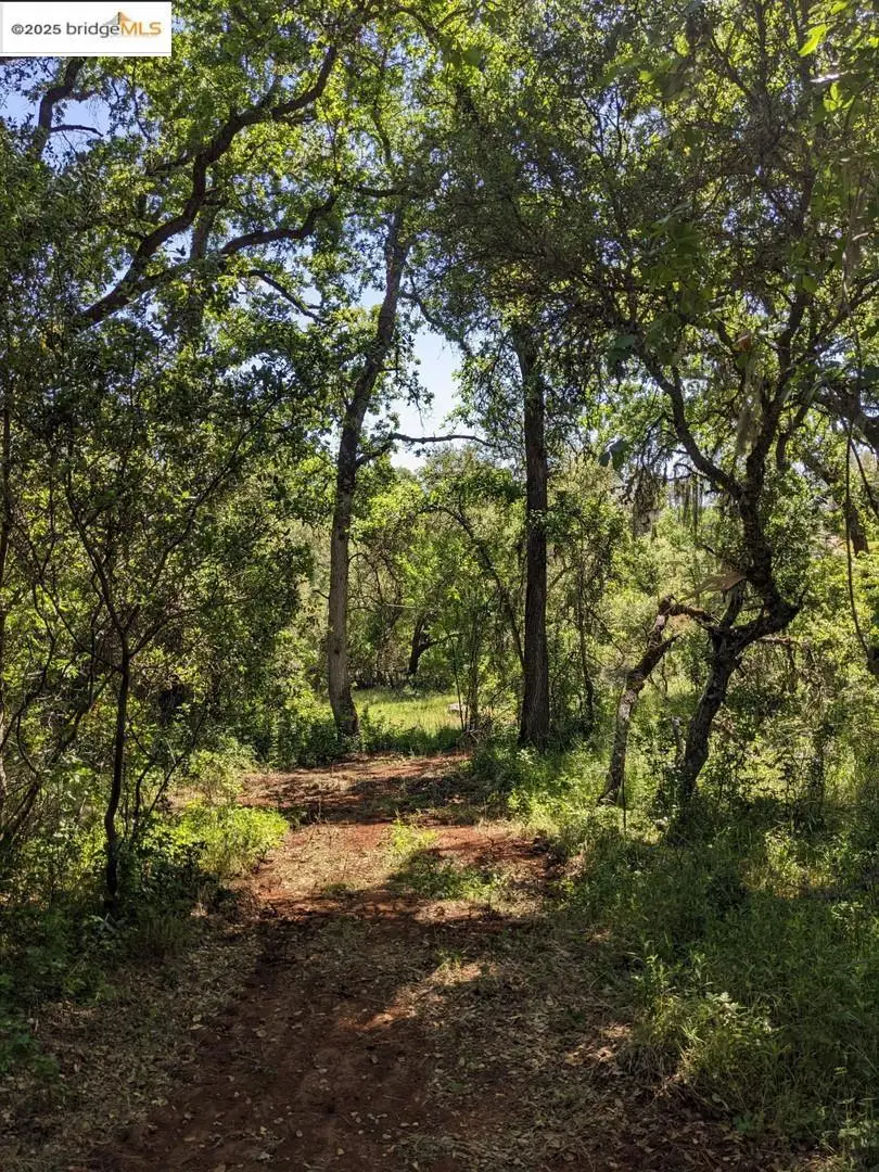 4095 Green Valley Rd, Rescue, CA 95672 - #3