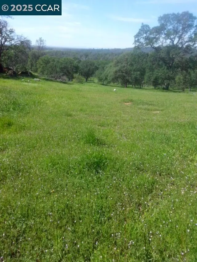 56 Deer Hollow Trail, Browns Valley, CA 95918 - Image #2