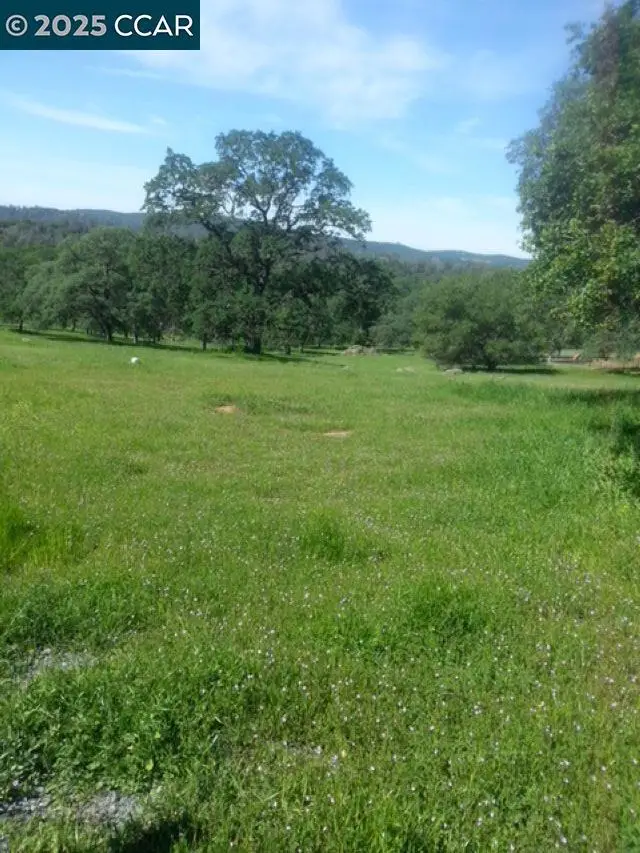 56 Deer Hollow Trail, Browns Valley, CA 95918 - Image #3