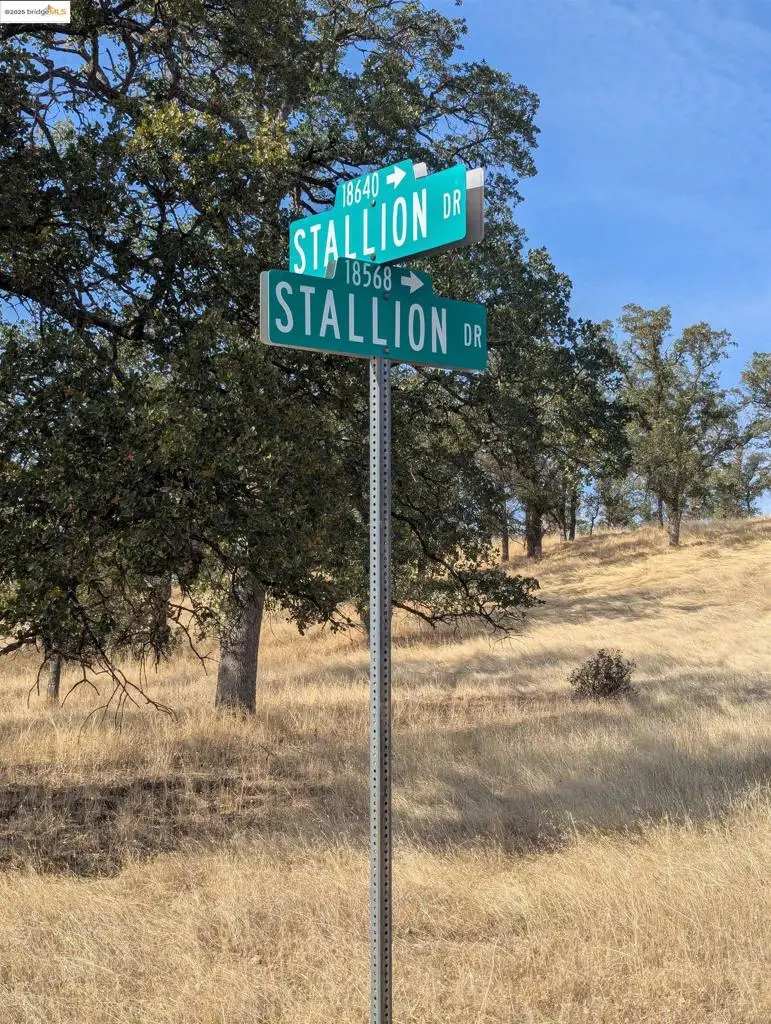 18574 Stallion Dr, Red Bluff, CA 96080 - Image #1