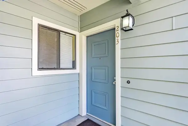 3507 Buttonwood Ter #203, Fremont, CA 94536