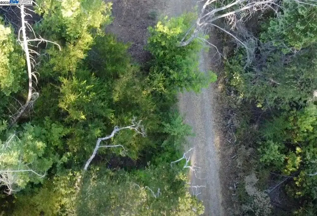 Address Withheld By Seller, Boulder Creek, CA 95006 - Image #1