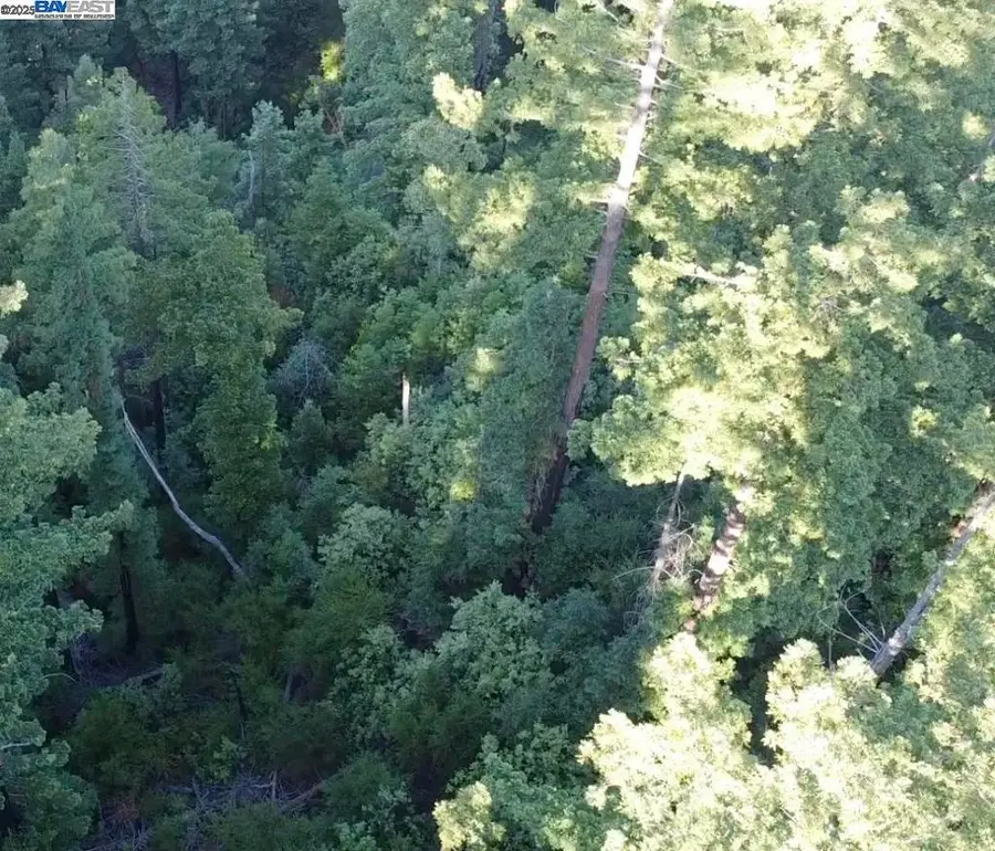 Address Withheld By Seller, Boulder Creek, CA 95006 - Image #3