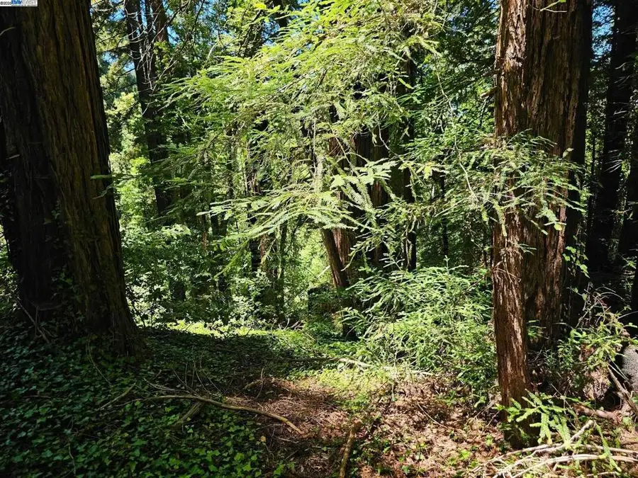 27 Old La Honda Rd, Woodside, CA 94062 - Image #3
