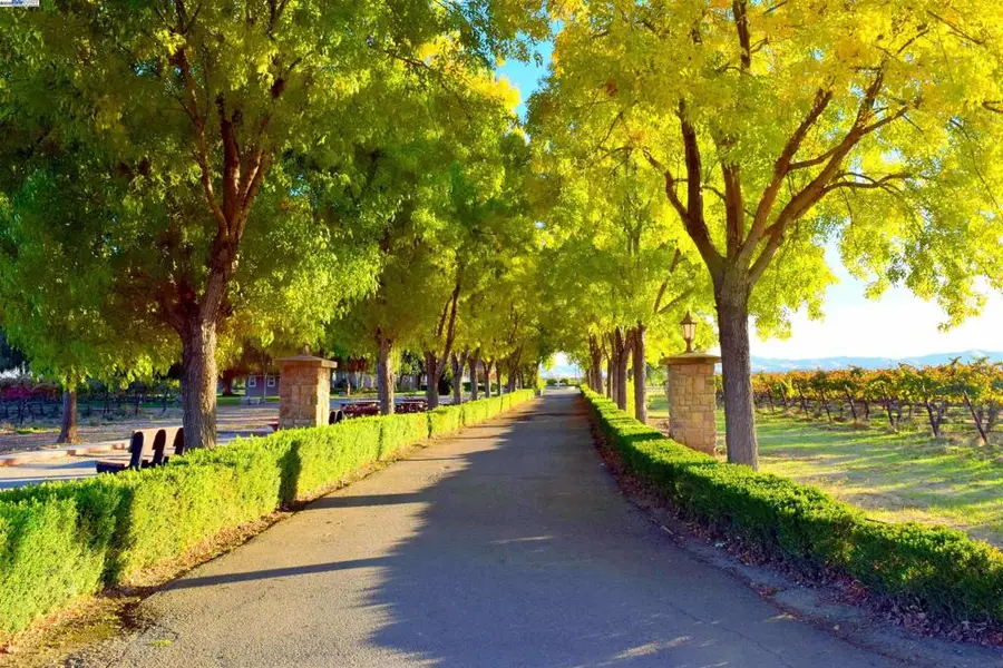 6740 Balfour Rd, Brentwood, CA 94513 - Image #3